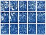 01#14 Oak Tree Bush, 1997, Cyantoypie, 24,5 x 18,7cm, 3/10+3