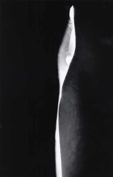 Judith Harnisch, no Title, BW-Print, 15x24cm, 1993, Brauhaus-Fotografie No.2