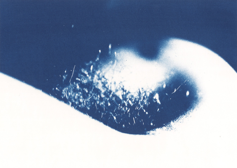 Judith Harnisch: "o.T.", Cyanotypie, 29x22cm, 1996, Brauhaus-Fotografie Nr.5