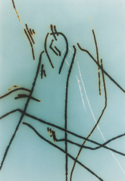 Haimo Hieronymus: "unerwartete Landschaft", C-Print, 15x22cm, 1994, Brauhaus-Fotografie Nr.3