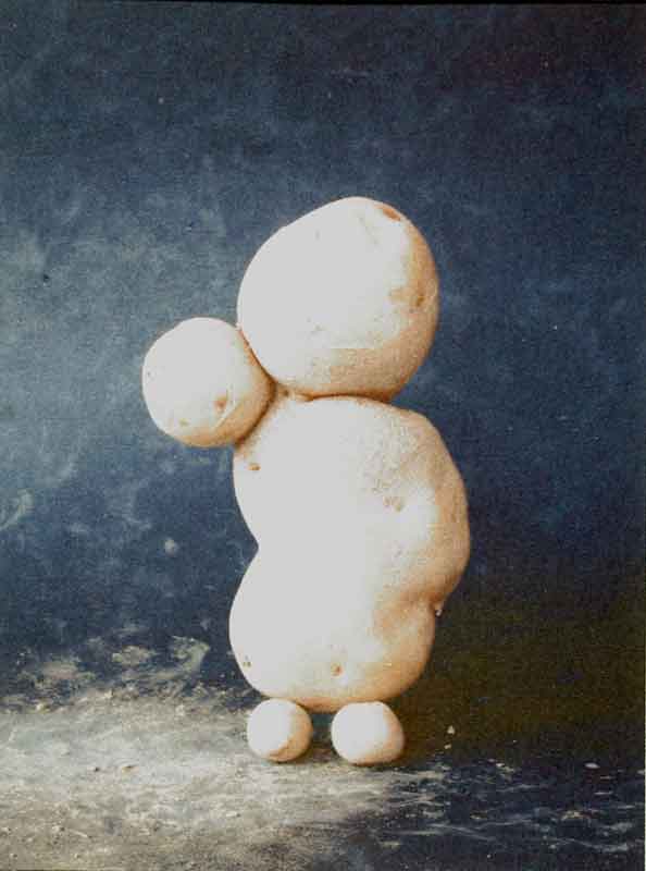 Juergen Koenigs: kein Titel (potatoe), Epson Print, 2006, 10,8x14,2cm, offene Auflage