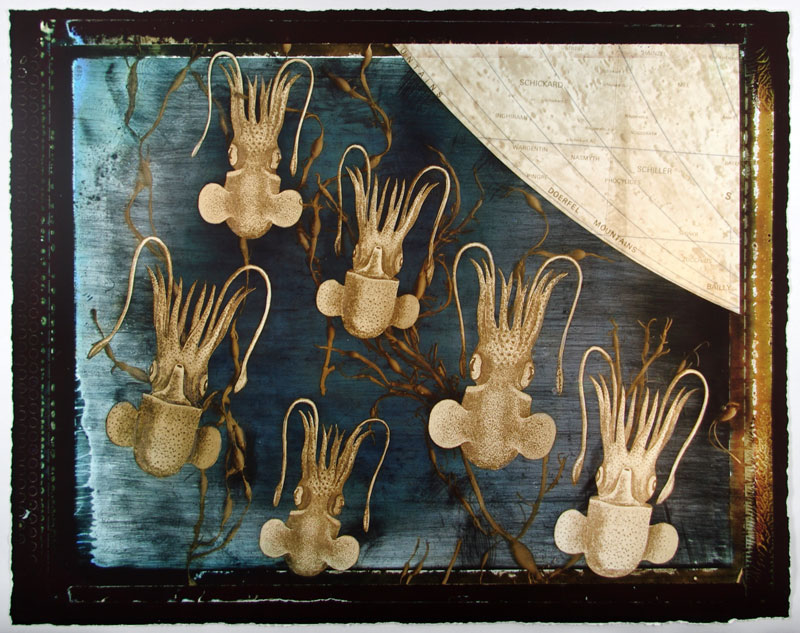 Vicki Ragan: Squids, 2000, pigment print on paper, 51,5 x 40,5 cm