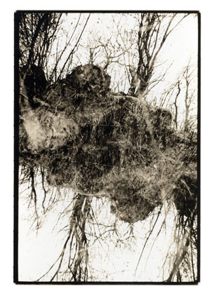 Stefan Schaefer: from the series "Gracchus im Wald", Duplex Patriae #2, silver gelatin print, 2007, 9,3 x 13,3 cm, edition 5
