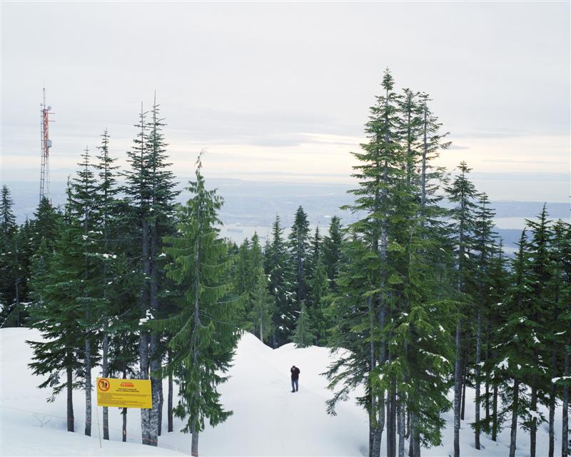 Donna J. Wan, In the Snow Forest, 50,8 x 63,5 cm, Archival Inkjet, edition 3/10+2, 2009