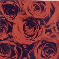 Rhonda Wilson: "Roses", C-Print, 30x30cm, 1992
