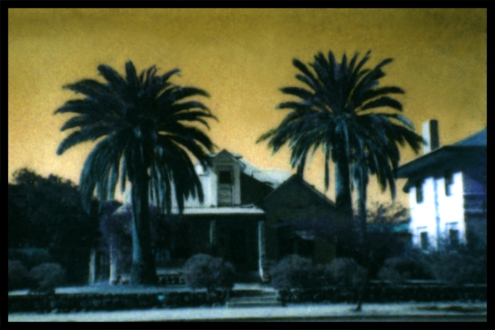 Sheri Lynn Behr: Tuscon Palms, Archival inkjet print, 2002, 10.2 x 15.2 cm on 27.9 x 21.6, Auflage 25