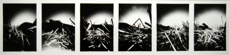 Thomas Kellner: Sixtorama Nr. 16, 1994, SW-Fotografie, 59,5 x 11,5cm / 21,1" x 4,5", Auflage 10+1