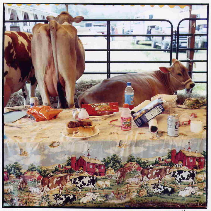 Nelken Dan: "no title" aus der Serie: wenn the cows come home, C-Print, 2006, 17,8 x 18,1 cm Auflage 100
