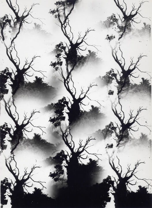 Thomas Kellner: Dying Nature No. 4, 1994, SW-Fotografie, 16,4 x 23,5 cm / 6,4" x 9,2", Auflage 10+3