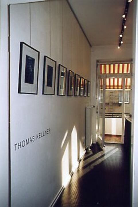Thomas Kellner: "Baeume", Galerie in focus am Dom, Cologne, 1999