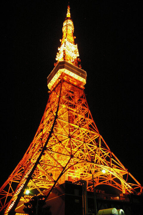 View at night on Tokyo Tower