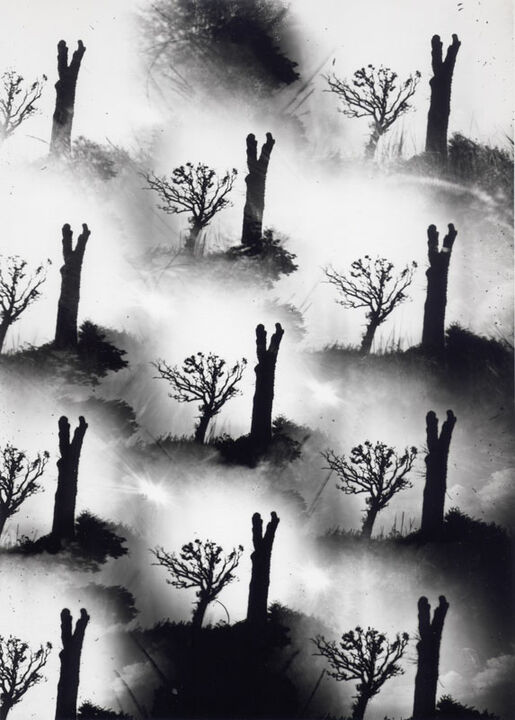 Thomas Kellner: Dying Nature No. 8, 1994, SW-Fotografie, 16,4 x 23,5 cm / 6,4" x 9,2", Auflage 10+3