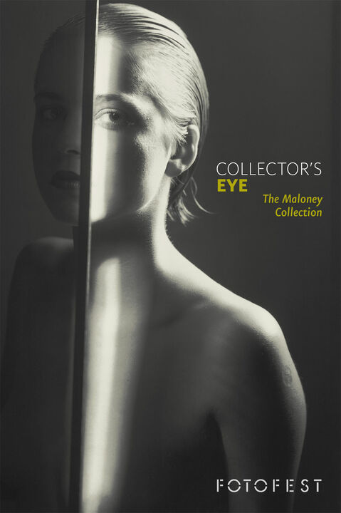 Das Auge des Sammlers: Die Sammlung Maloney 