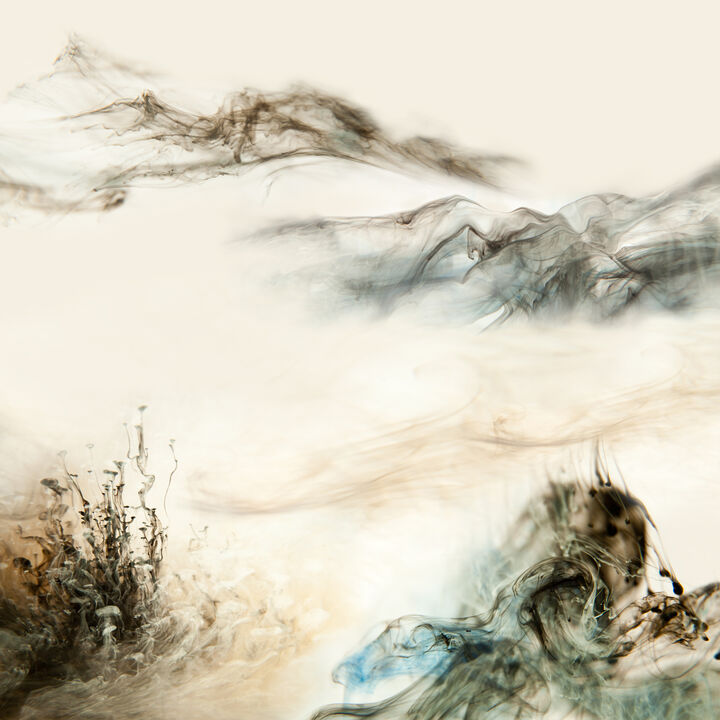 Lu Jun: Freedom Unhired, 2 Pigment print, 70 x 70 cm, 2012