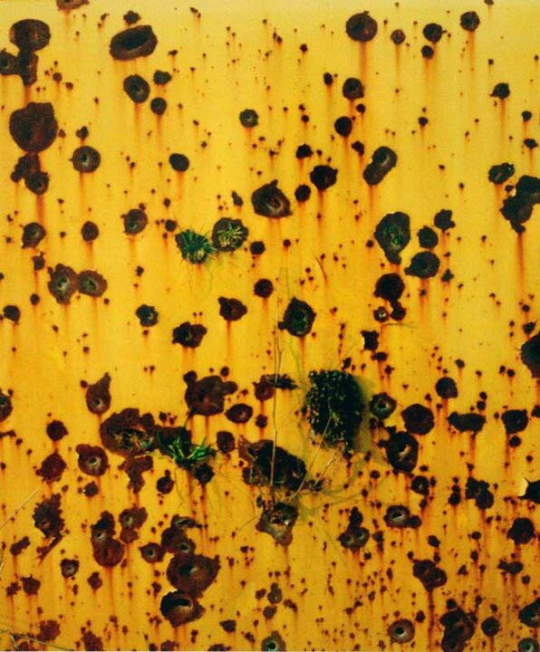 Masaki Hirano: Holes I aus der Serie: down the road of life, 1996, 41 x 49 cm, Auflage 20