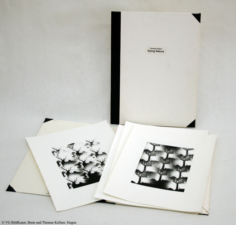 Thomas Kellner: Portfolio Dying Nature, 1994, 10 BW prints