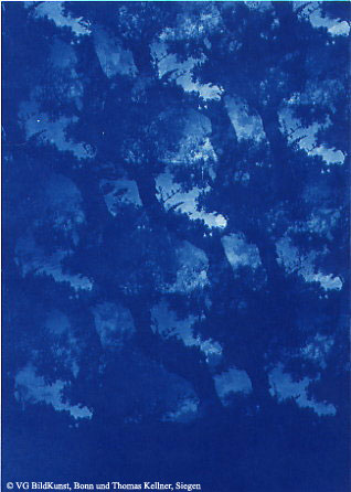 Thomas Kellner: Les oliviers de Eygalierès X, 1997, Cyanotype, 16,4x23,5 cm/6,4"x9,2", edition 10+3