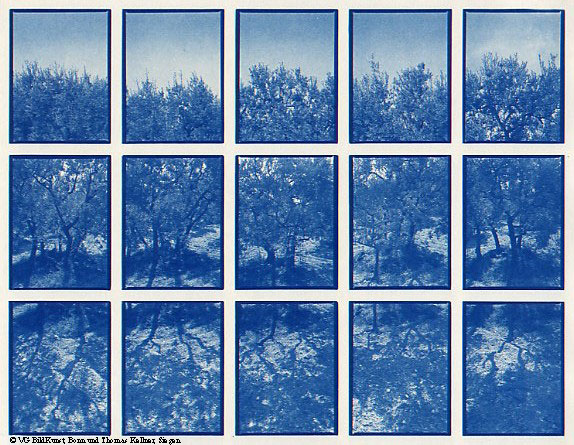 Thomas Kellner: 01#05 Olive Garden 3, 1997, Cyantoype, 24,5x18,7cm/9,5"x7,3", edition 10+3